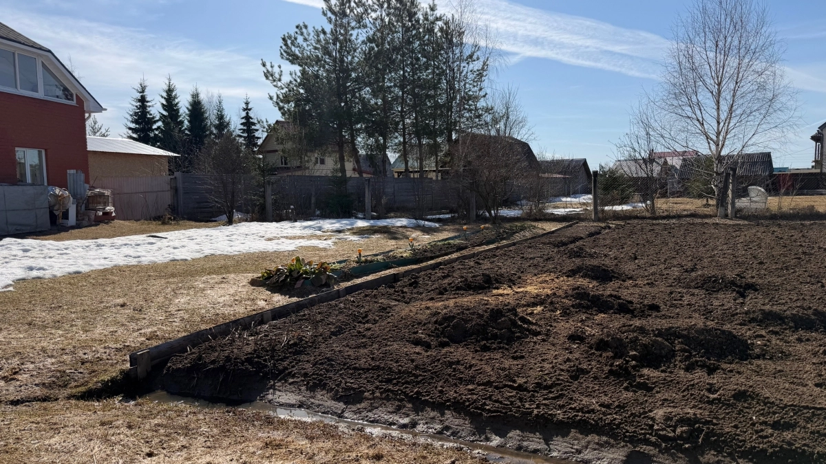 Жаль раньше не знала: почва как пух за копейки - дешёвая крупа заменит дорогие удобрения и увеличит ваш урожай