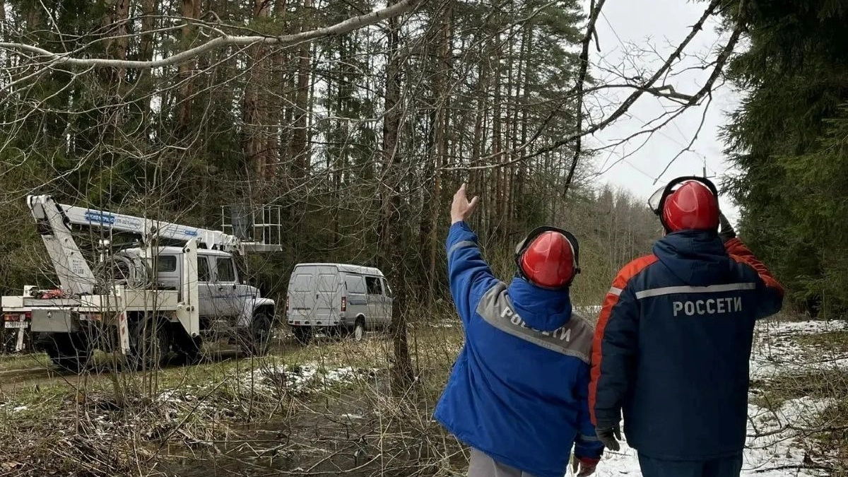Более 90 процентов обесточенных непогодой сёл и деревень Калужской области вновь со светом