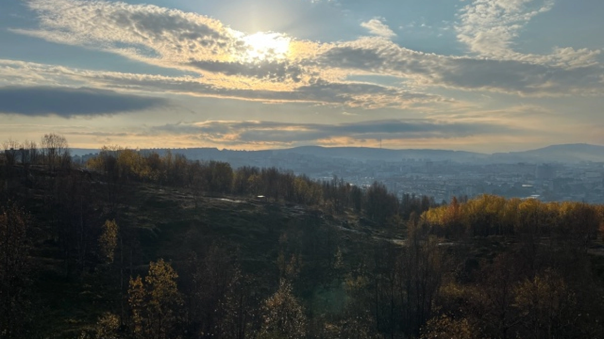 В Калужской области ограничили перемещение скота после вспышки лейкоза