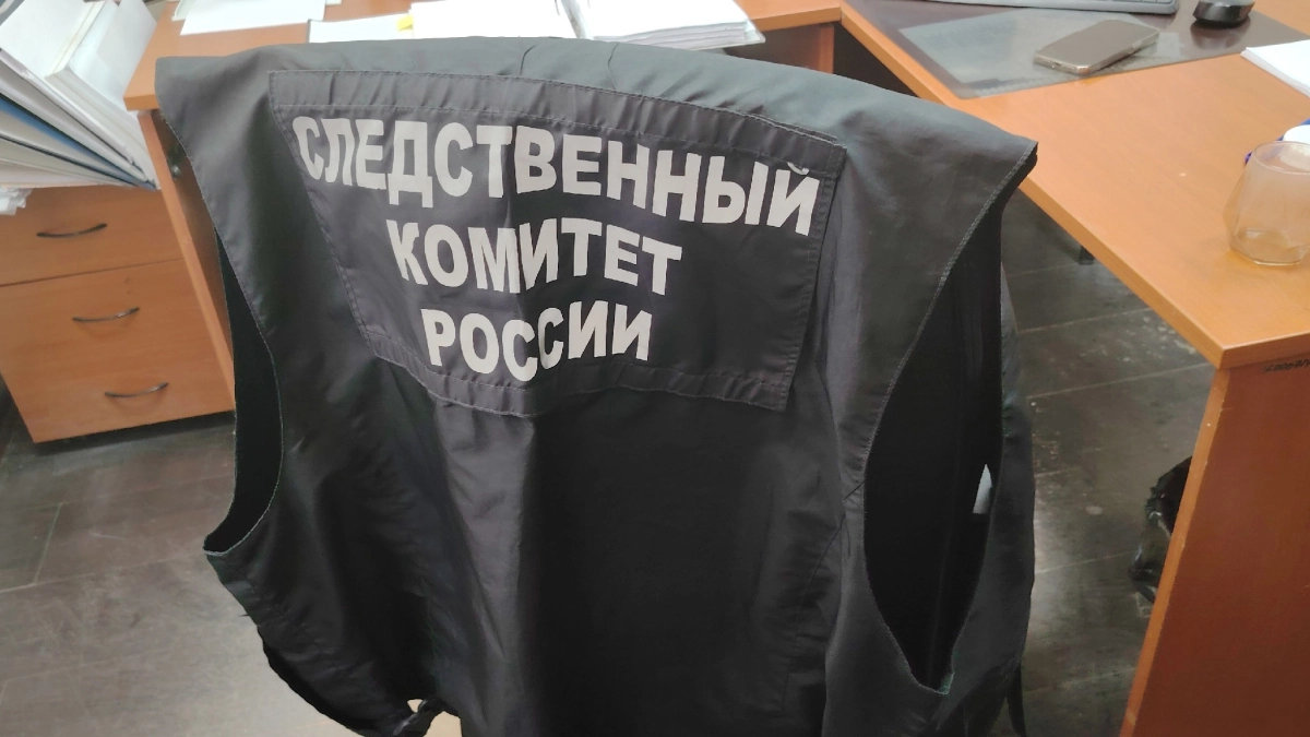 Александр Бастрыкин заинтересовался дракой на набережной в Калужской области