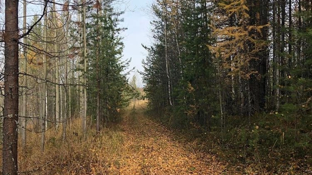 В Калужской области стартовал конкурс “Фотоохота на заповедных территориях”