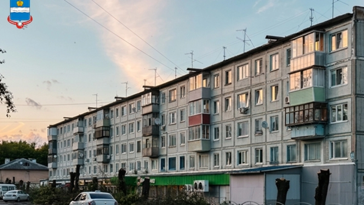 На улице Максима Горького в Калуге вырубают заражённые ясени и агрессивные американские клёны