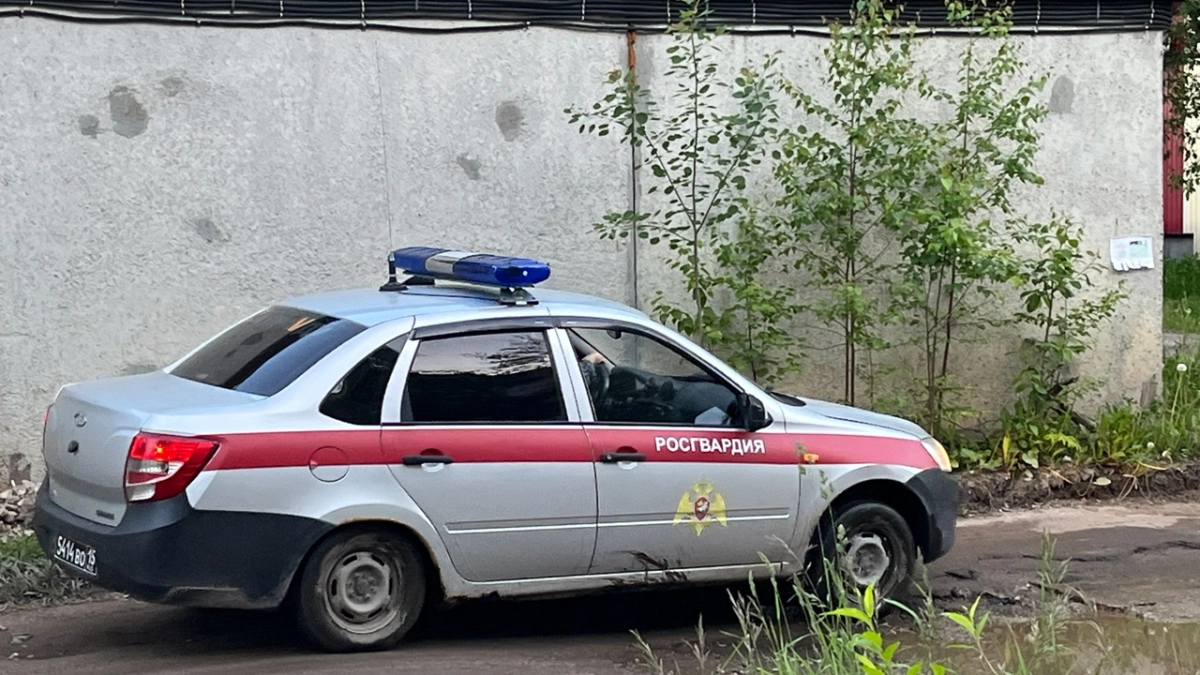 За полгода в Калужской области росгвардейцы задержали более 1,4 тысячи нарушителей 
