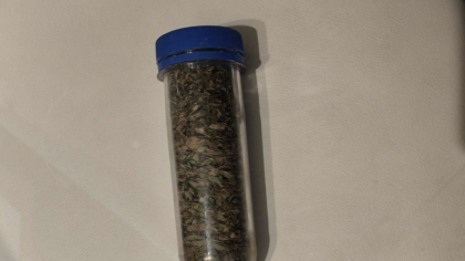 В Калуге задержали местного жителя за выращивание и хранение наркосодержащих растений