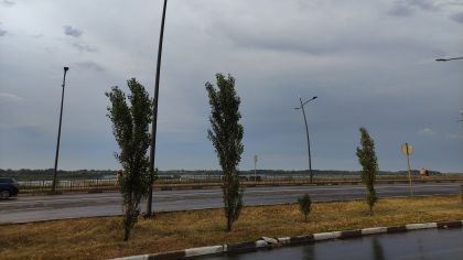 В Калужской области ожидаются дождь и сильный ветер 5 апреля